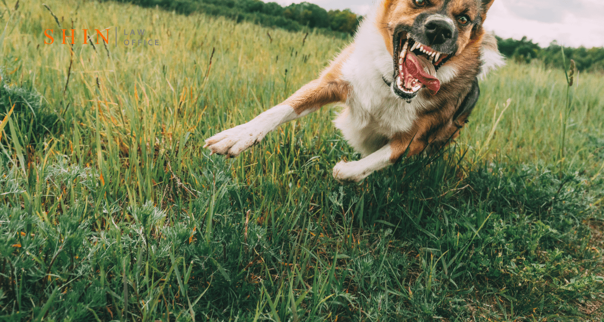 Dog Bite & Animal Attack Attorney Leesburg VA | Get Help Now!