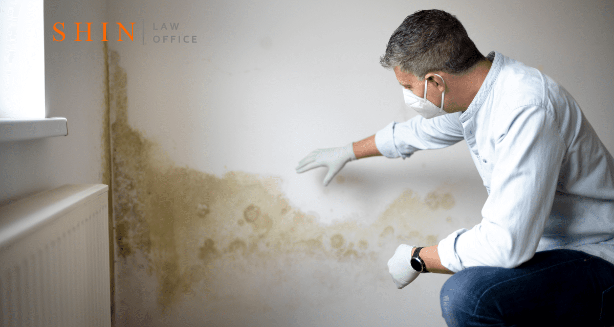 Mold Exposure in Arlington Apartments: What Tenants Can Do When Landlords Ignore Toxic Growth