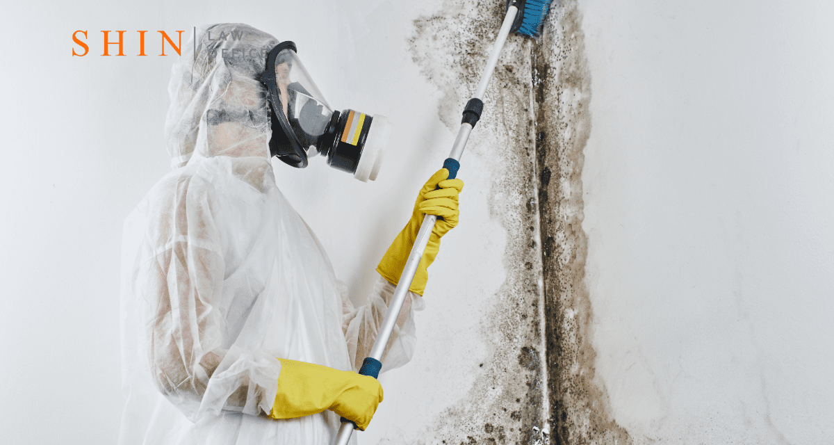 Crystal City Condos and Office Buildings: Hidden Mold Risks in HVAC and Ventilation Systems