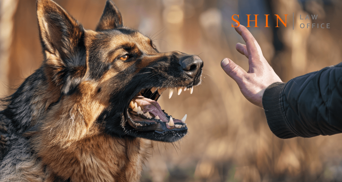 Dog Bites in Northern Virginia – Your Guide to Legal Rights and Recovery